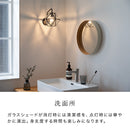 ブラケットライト 1灯 レイヴァ