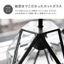 ブラケットライト 1灯 レイヴァ