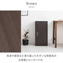 収納家具 鍵付きキューブボックス 縦長タイプ