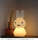 Miffy Shines