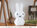 Miffy Shines