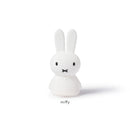 Miffy Shines