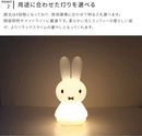Miffy Shines