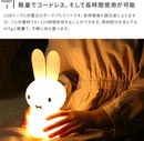 Miffy Shines