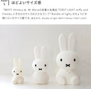 Miffy Shines