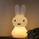 Miffy Shines