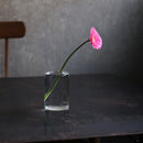 花瓶 ULLICA