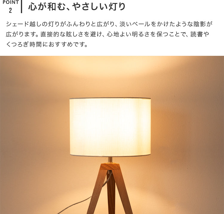 フロアライト 1灯 EXF-001