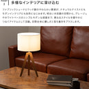 フロアライト 1灯 EXF-001