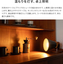 フロアライト 1灯 EXF-004