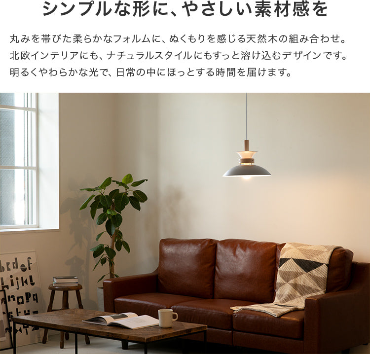 ペンダントライト 1灯 EXP-002