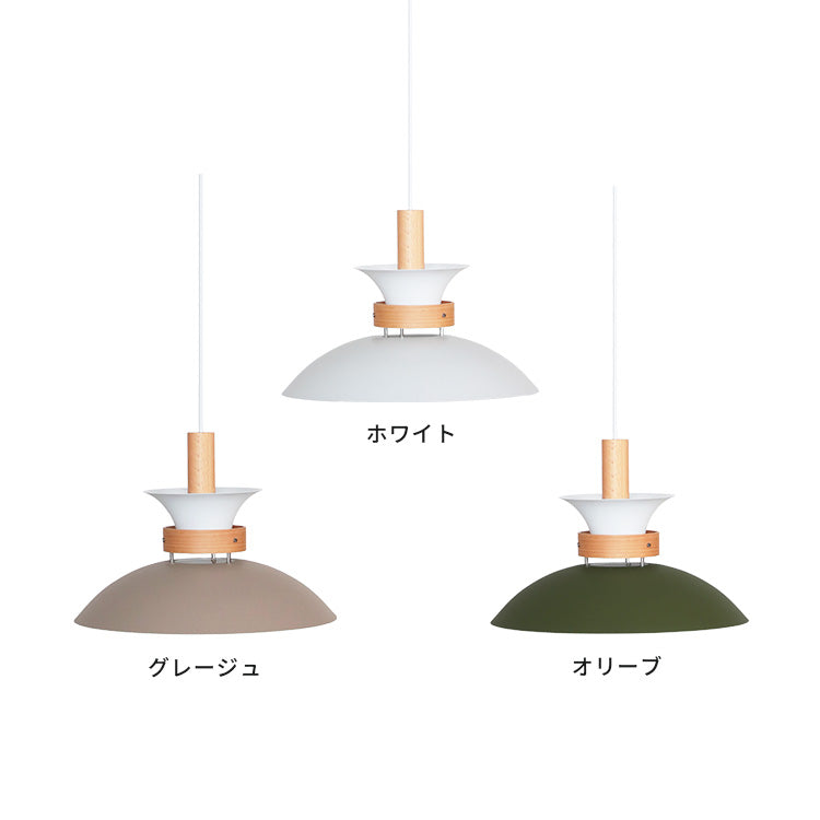 ペンダントライト 1灯 EXP-002