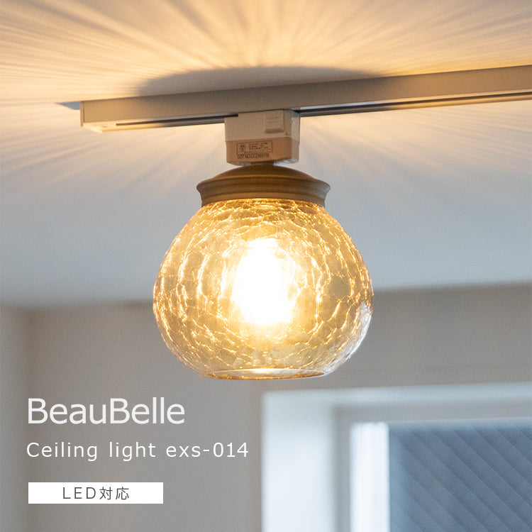 シーリングライト 1灯 EXS-014