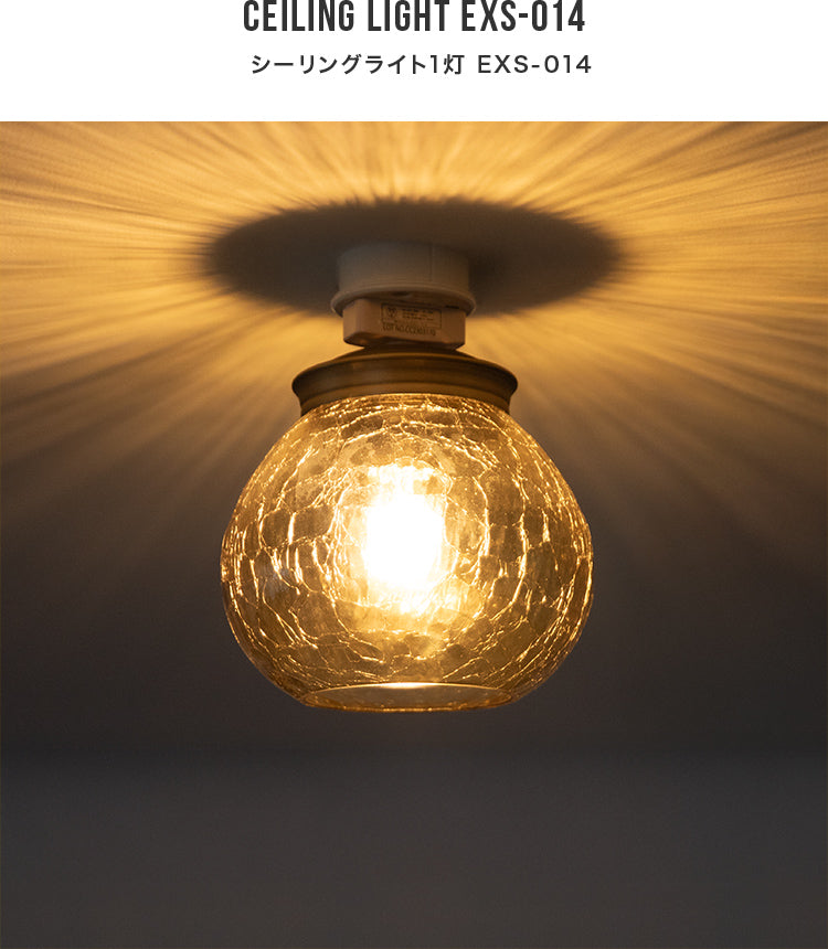 シーリングライト 1灯 EXS-014