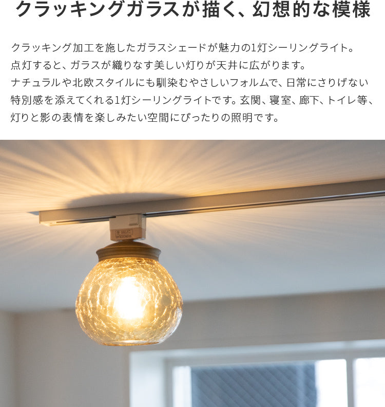 シーリングライト 1灯 EXS-014