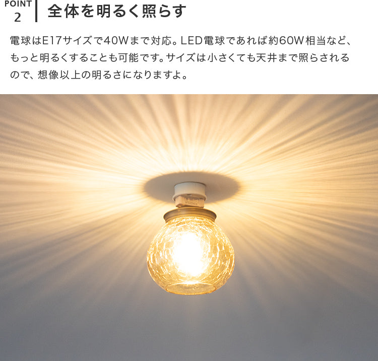 シーリングライト 1灯 EXS-014