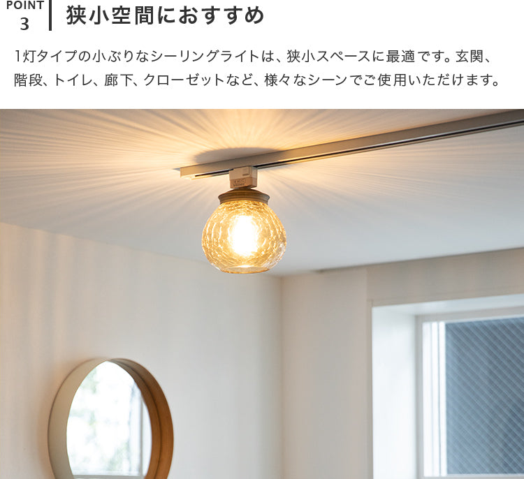 シーリングライト 1灯 EXS-014