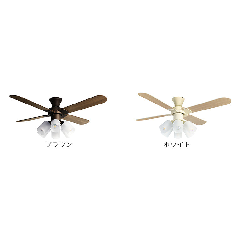 Modern Collectionシーリングファン 6灯JE-CF015