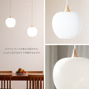 ペンダントライト 1灯 ringo リンゴ S
