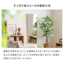 割れないミラー 幅55×高さ150