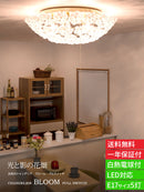 シーリングライト 5灯 ブルーム プルスイッチ