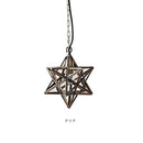 ペンダントライト 1灯 エトワールスモール [Etoile small P/L]