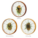 電波時計 ボタニカ デポット