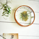 電波時計 ボタニカ デポット