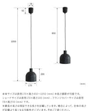 ペンダントライト 1灯 ルーエ