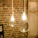 ペンダントライト 1灯 ボタニック ハンギングライト