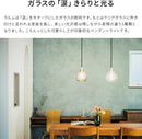 1灯ペンダントライト　ラルム（Larme）