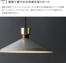 1灯ペンダントライト　ボアザン　Voisin