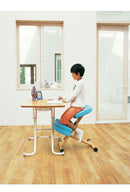 バランスチェア キッズ仕様クッション付き