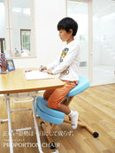 バランスチェア キッズ仕様クッション付き