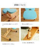 バランスチェア キッズ仕様クッション付き