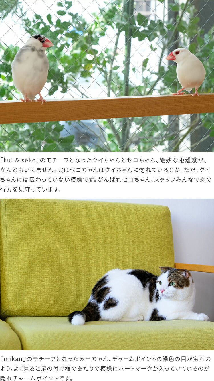 aina コーヒー缶225g familj ファミーリ