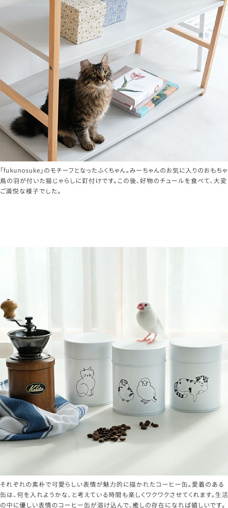 aina コーヒー缶225g familj ファミーリ