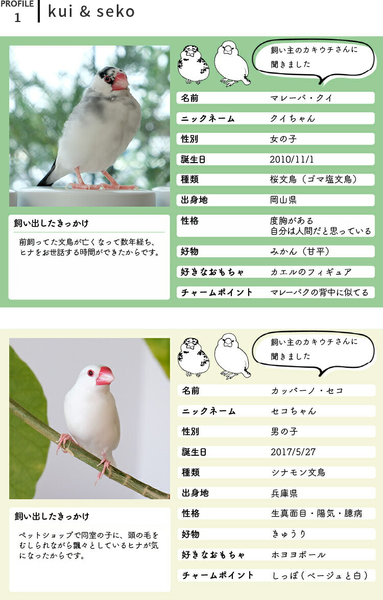 aina コーヒー缶225g familj ファミーリ