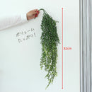 丸い葉っぱのモフモフ