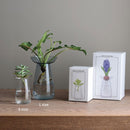 KINTO AQUA アクア カルチャーベース L