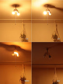 アクセサリー ソケットシーリング 2灯