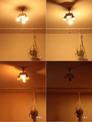 アクセサリー ソケットシーリング 3灯