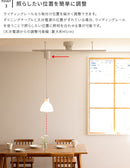 アクセサリー ライティングレール