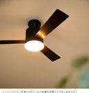 LEDシーリングファンライト バズー