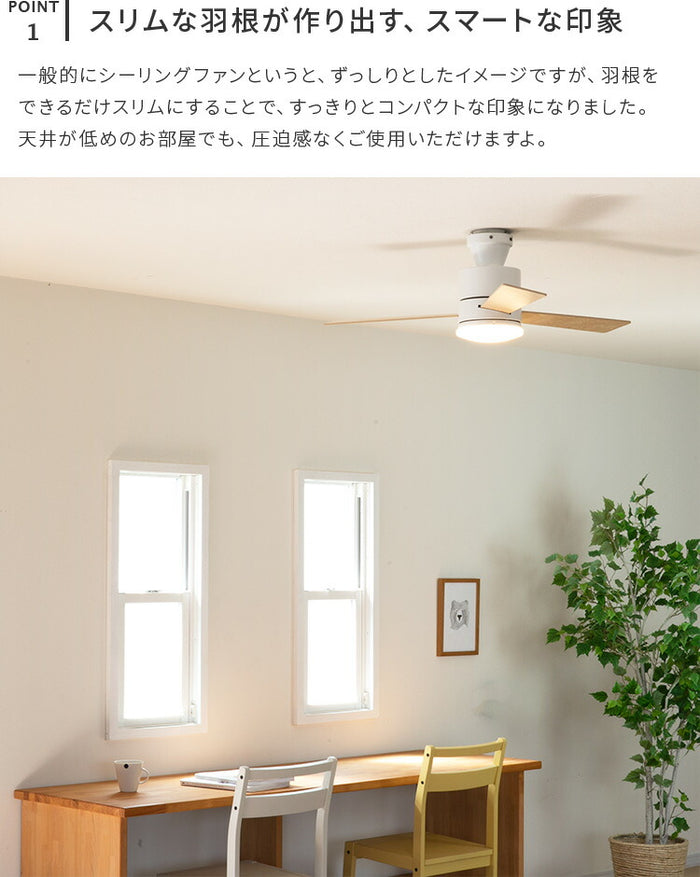 LEDシーリングファンライト バズー シーリングファンライト