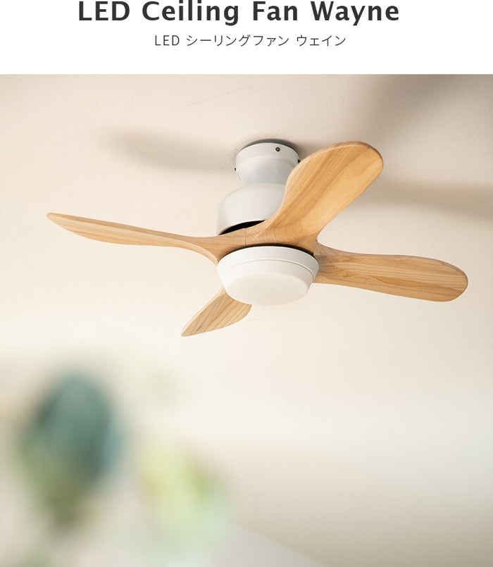 bbcf-002_3_700x.jpg?v=1677006591