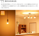 LED電球 810lm