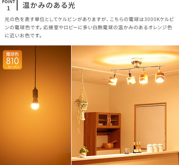 bbl-040_04_700x.jpg?v=1677007467