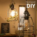 ペンダントライト 1灯 バルドー