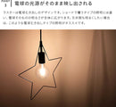 ペンダントライト 1灯 ラスター
